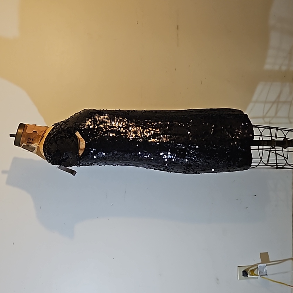Sequins anyone?   Darling NWT Banana Republic size 4 dress - Picture 7 of 13